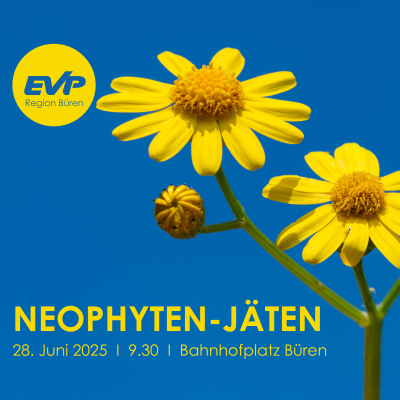 Neophyten jäten