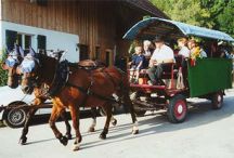 Rösslifahrten